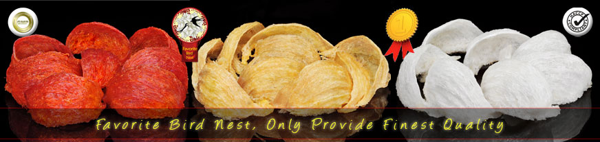 Favorite Bird Nest , Original Birdnest - Only Provide the Finest Quality